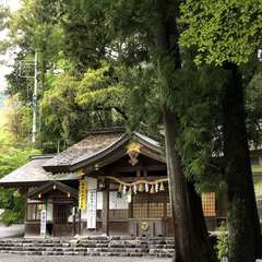 投稿日:2019年5月1日 写真