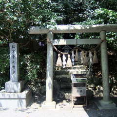 投稿日:2019年8月25日 写真