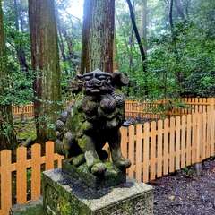 投稿日:2025年10月27日 写真