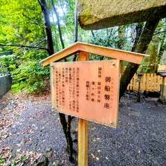 投稿日:2025年10月27日 写真