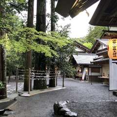 投稿日:2019年5月1日 写真