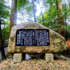 投稿日:2025年10月27日 写真