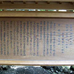 投稿日:2019年8月25日 写真