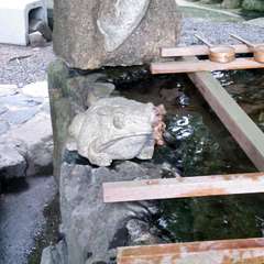 投稿日:2015年12月3日 写真