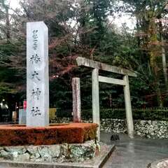 投稿日:2025年7月19日 写真