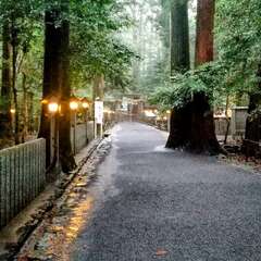 投稿日:2025年7月19日 写真