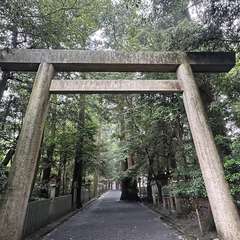 投稿日:2023年7月1日 写真