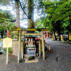 投稿日:2025年10月27日 写真