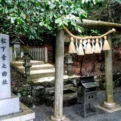 投稿日:2025年7月19日 写真