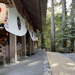 投稿日:2021年5月1日 写真