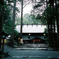 投稿日:2025年8月24日 写真