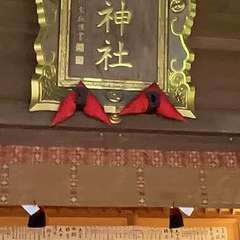 投稿日:2023年7月1日 写真