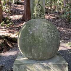 投稿日:2022年2月26日 写真