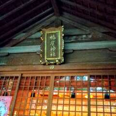 投稿日:2025年7月19日 写真