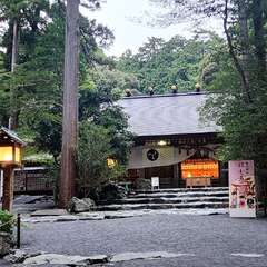 投稿日:2025年10月24日 写真