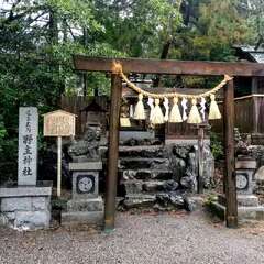 投稿日:2025年7月19日 写真