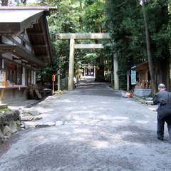 投稿日:2019年8月25日 写真