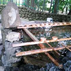 投稿日:2015年12月3日 写真