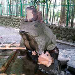 投稿日:2015年12月3日 写真