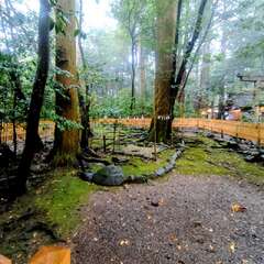 投稿日:2025年10月27日 写真