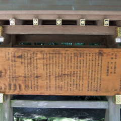 投稿日:2019年8月25日 写真