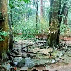 投稿日:2025年7月19日 写真