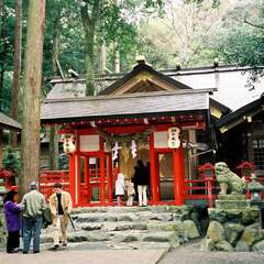 投稿日:2025年8月24日 写真