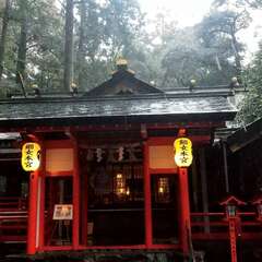 投稿日:2025年7月19日 写真