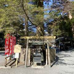 投稿日:2022年2月26日 写真