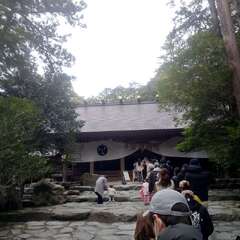 投稿日:2025年3月30日 写真