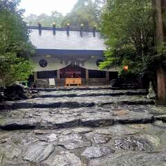 椿大神社(投稿日:2025年10月27日) 写真