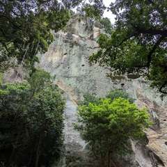 投稿日:2024年4月30日 写真