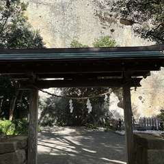 投稿日:2023年12月18日 写真