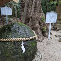 投稿日:2024年4月30日 写真