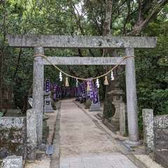 投稿日:2024年4月30日 写真