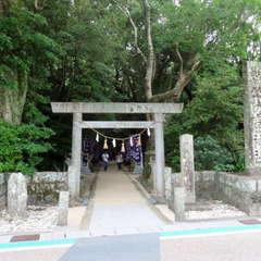 投稿日:2023年6月18日 写真