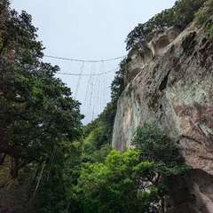 投稿日:2024年4月30日 写真