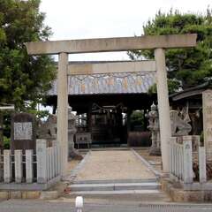 写真