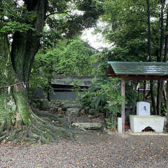 御厨神明社 御神木(投稿日:2021年5月19日) 写真
