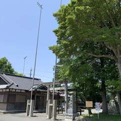 八幡神社 鳥居2(投稿日:2021年5月10日) 写真