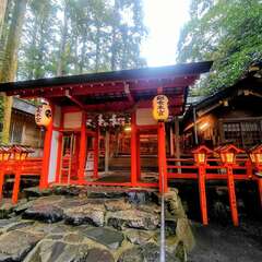 椿岸神社(投稿日:2025年10月27日) 写真