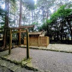 小社神社(投稿日:2025年12月21日) 写真