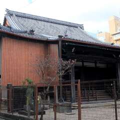 善徳寺 本堂(投稿日:2025年12月10日) 写真