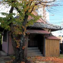 極楽寺(投稿日:2025年12月9日) 写真