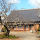 金鼓山 光明寺