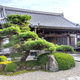梅香寺
