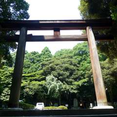 投稿日:2016年8月5日 写真