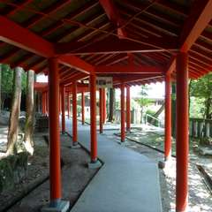 投稿日:2016年8月5日 写真