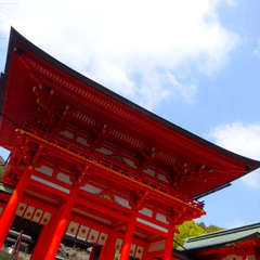 投稿日:2024年3月16日 写真