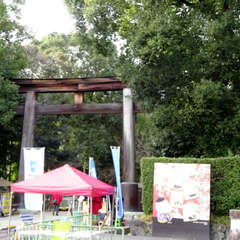 投稿日:2020年1月18日 写真